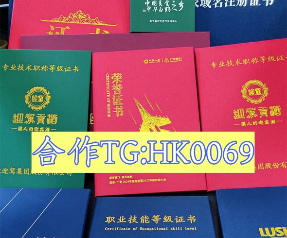 专业证件咨询